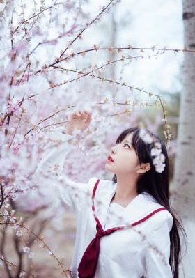 月光侠